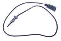 DELPHI TS30076 - Sensor, temp. gas escape