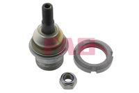Schaeffler FAG 825007910 - Rótula de suspensión/carga