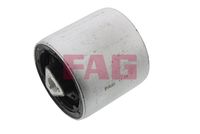 Schaeffler FAG 829032410 - Suspensión, Brazo oscilante
