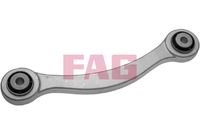 Schaeffler FAG 821021510 - Barra oscilante, suspensión de ruedas
