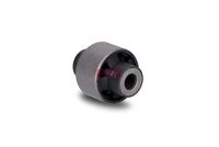 Schaeffler FAG 829 0613 10 - Suspensión, Brazo oscilante