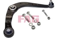 Schaeffler FAG 821061110 - Barra oscilante, suspensión de ruedas