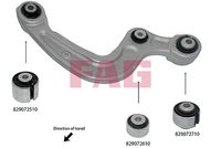 Schaeffler FAG 829067010 - Suspensión, Brazo oscilante