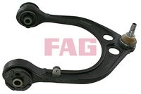 Schaeffler FAG 821095010 - Barra oscilante, suspensión de ruedas