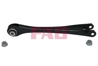 Schaeffler FAG 821124810 - Brazo oscilante, suspensión de ruedas