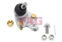 Schaeffler FAG 825032010 - Rótula de suspensión/carga