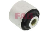 Schaeffler FAG 829038810 - Suspensión, Brazo oscilante