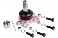 Schaeffler FAG 825010810 - Rótula de suspensión/carga