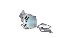 Schaeffler INA 538 0591 10 - Bomba de agua, refrigeración del motor