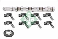 Schaeffler INA 428003530 - Kit de árbol de levas
