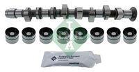 Schaeffler INA 428005130 - Kit de árbol de levas