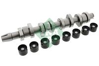 Schaeffler INA 428004230 - Kit de árbol de levas