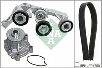 Schaeffler INA 529008131 - Bomba de agua + kit de correa poli V