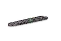 Schaeffler INA 553039510 - Cadena de distribución