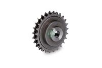 Schaeffler INA 559101150 - Juego de cadena de distribución