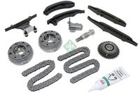 Schaeffler INA 559100732 - Juego de cadena de distribución
