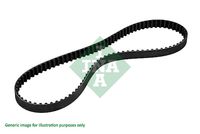 RIDEX 306T0031P - Correa dentada