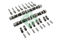 Schaeffler INA 428003030 - Kit de árbol de levas