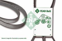 Schaeffler INA FB6PK1767 - Correa trapecial poli V