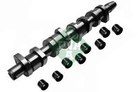 Schaeffler INA 428003930 - Kit de árbol de levas