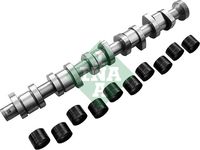 Schaeffler INA 428004030 - Kit de árbol de levas