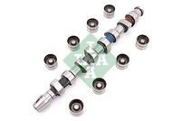 Schaeffler INA 428004830 - Kit de árbol de levas