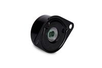 Schaeffler INA 533 0075 30 - Tensor de correa, correa poli V