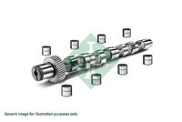Schaeffler INA 428002730 - Kit de árbol de levas