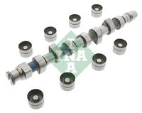 Schaeffler INA 428004830 - Kit de árbol de levas