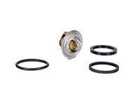 Schaeffler INA 530000431 - Bomba de agua + kit correa distribución