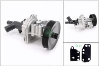 Schaeffler INA 538026210 - Bomba de agua, refrigeración del motor
