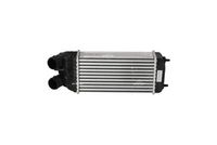 NRF 30460 - Radiador de aire de admisión