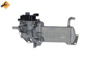 NRF 48210 - Válvula EGR
