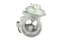 NRF 48636 - Válvula EGR