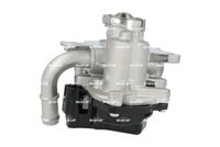 NRF 48743 - Válvula EGR