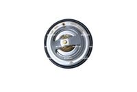 NRF 725067 - Termostato, refrigerante - EASY FIT