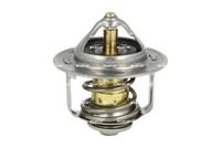 NRF 725173 - Termostato, refrigerante