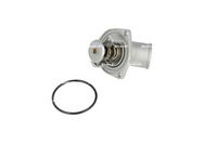 NRF 725289 - Termostato, refrigerante