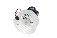 Stark SKIB0310173 - Ventilador habitáculo