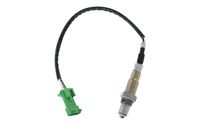 Stark SKLS0140582 - Sonda Lambda