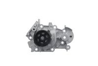 Stark SKWP0520117 - Bomba de agua, refrigeración del motor