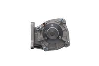 Stark SKWP0520298 - Bomba de agua, refrigeración del motor
