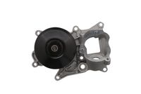 Schaeffler INA 538070610 - Bomba de agua, refrigeración del motor