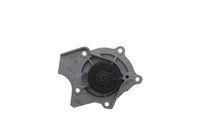 Stark SKWP0520312 - Bomba de agua, refrigeración del motor