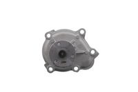 Stark SKWP0520006 - Bomba de agua, refrigeración del motor