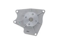 Stark SKWP0520242 - Bomba de agua, refrigeración del motor