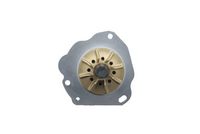 Stark SKWP0520376 - Bomba de agua, refrigeración del motor