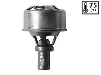 STARK SKTC0560234 - Termostato, refrigerante