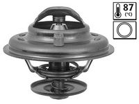 Schaeffler INA 530053930 - Bomba de agua + kit correa distribución