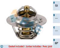 FAE 5205689 - Termostato, refrigerante